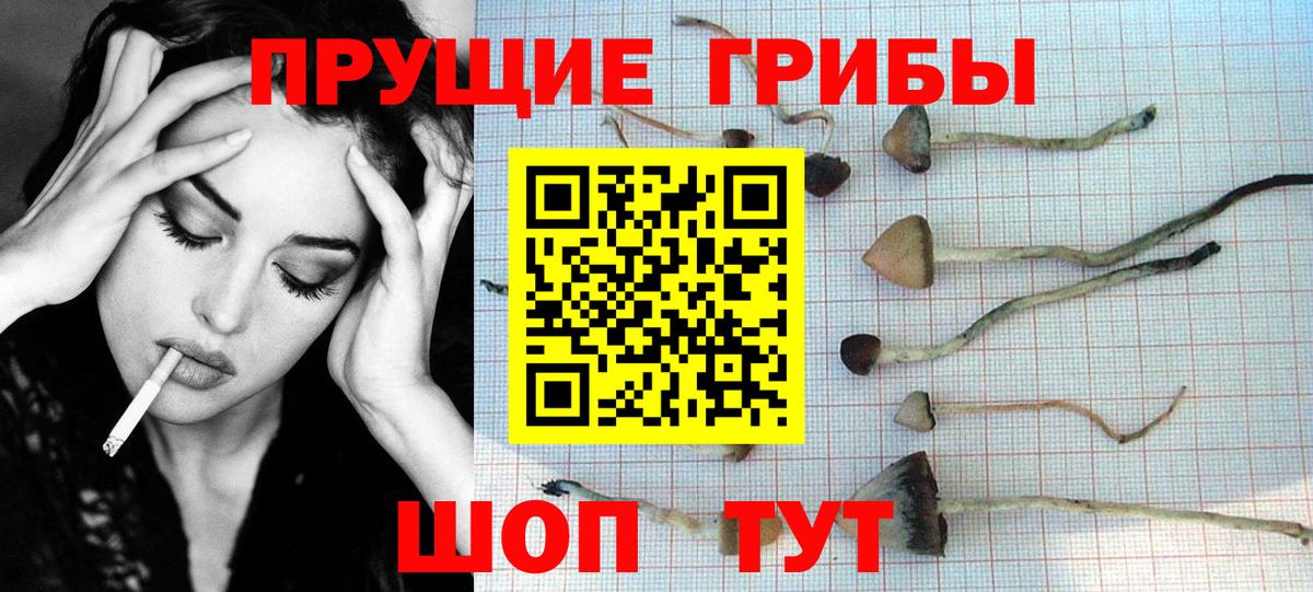 Пушкино  Галлюциногенные грибы прущие грибы  Галлюциногенные грибы мицелий  Вход с VPN 